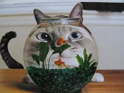 记忆